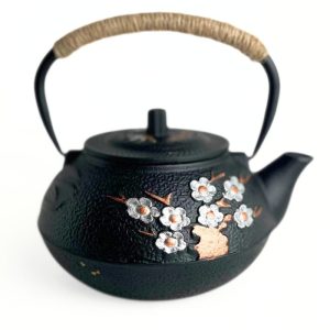 Чавунний чайник для заварювання 800 мл